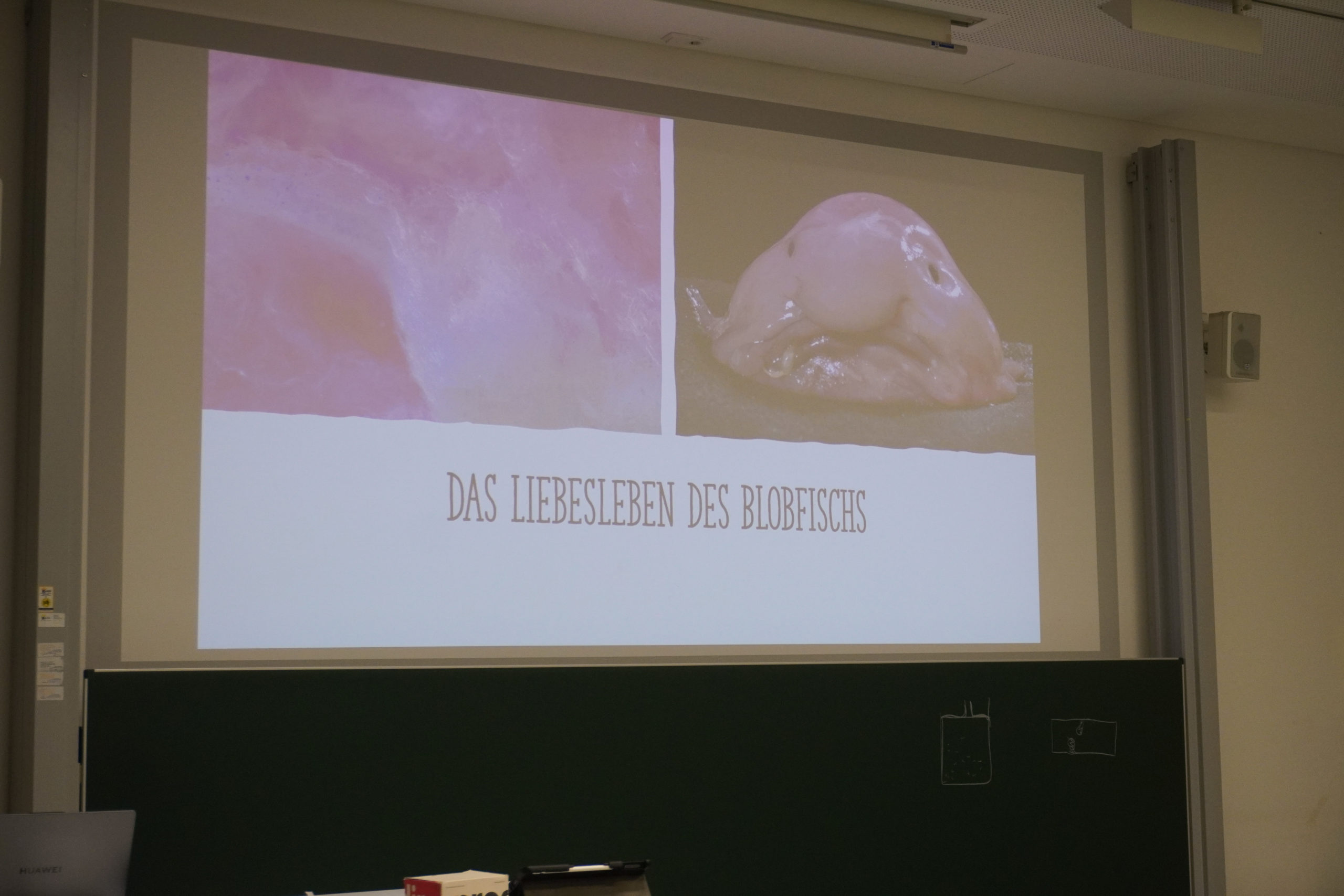 Kennenlernabend & PowerPointKaraoke